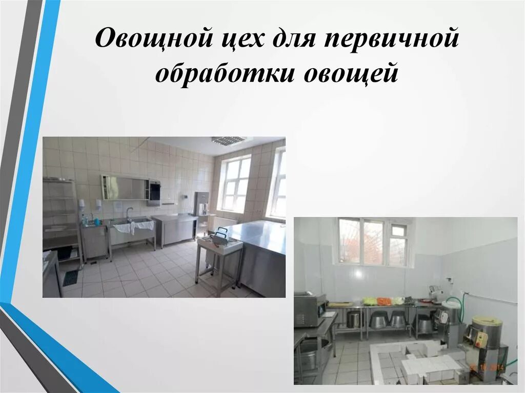 Назначение овощного цеха. Организация работы рыбного цеха. Цех первичной обработки. Рыбный цех оборудование и инвентарь. Картофелечистка в овощном цехе.
