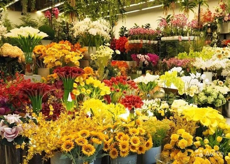 Магазин с цветами. Интерьер цветочного магазина. Цветы в цветных магазина. Интерьер цветочного магазина. Ассортимент цветов в цветочном магазине.