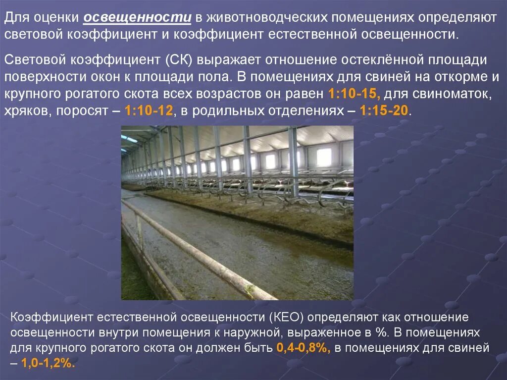 И в определенном помещении