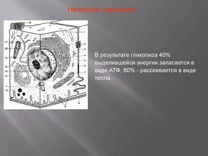 Запастись энергией