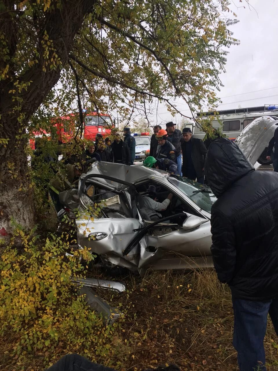 Свежие новости сальска. ДТП В Ростовской области Сальском районе.