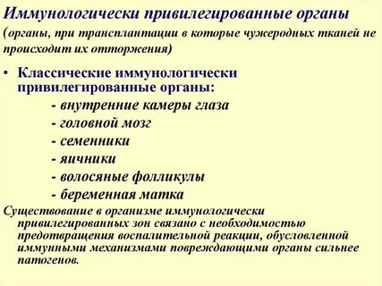 Иммунная привилегия