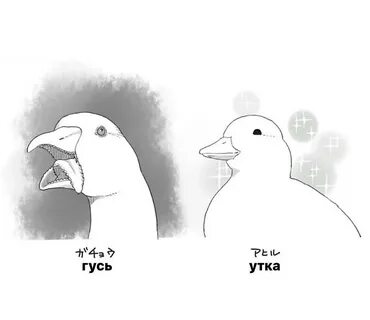 Гусь обнимусь рисовать
