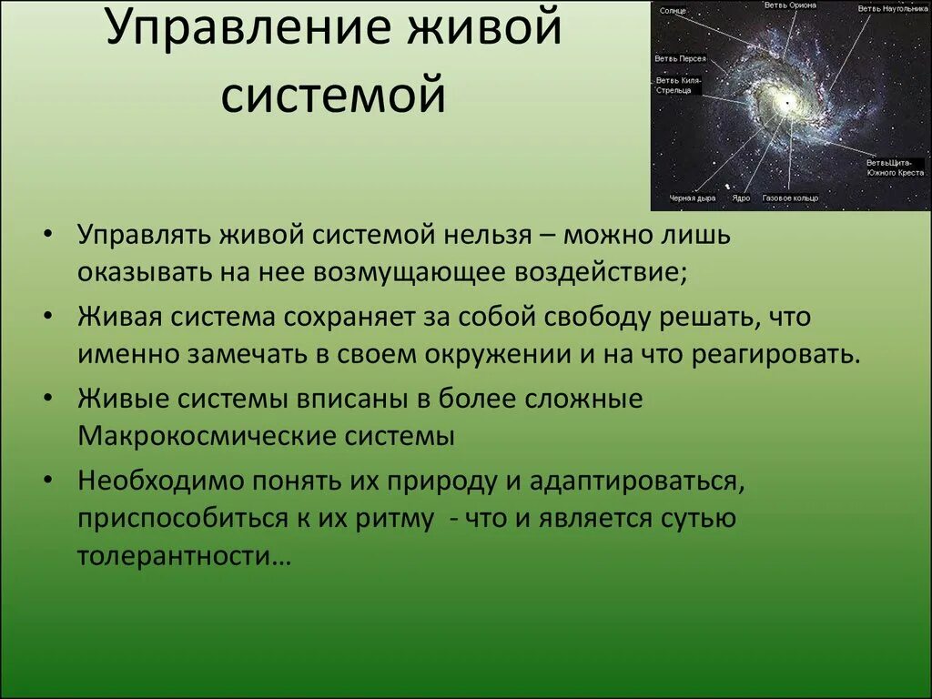 Любая живая система. Живые системы. Управляемость живых систем. Живая система доклад. Живое управление.