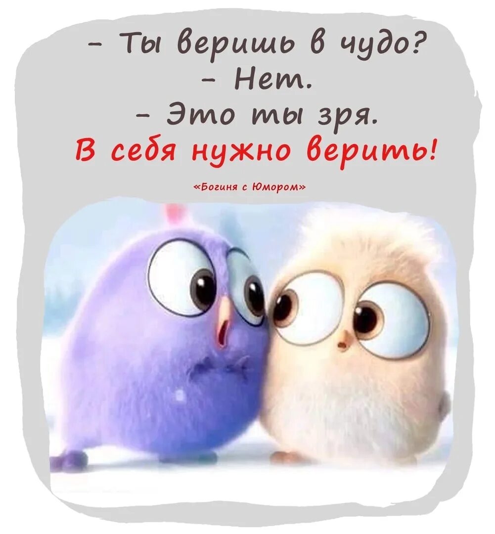 Доброе утро четверг зима. Доброе утро природа. Верьте в чудо доброе утро. Волшебство в чашке. Верьте в чудо доброе утро.