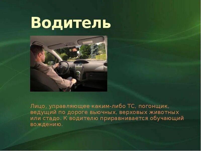 Водитель определение. Шофёр и водитель разница. Ответственность водителя. Погонщик ведущий по дороге вьючных. Скорость пдд.
