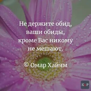 Не держи обиду