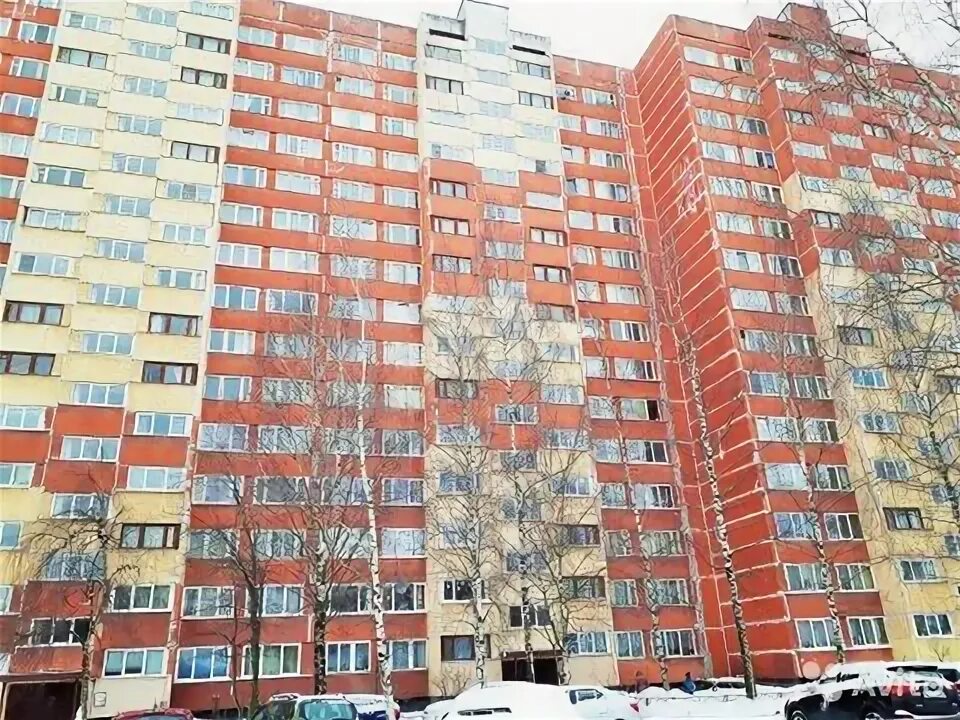 Геморроя нет ул рихарда зорге 33 1. Санкт-петербург, ул. рихарда зорге, д. 1,. рихарда зорге 12. рихарда зорге 12/1. зорге 12 спб.
