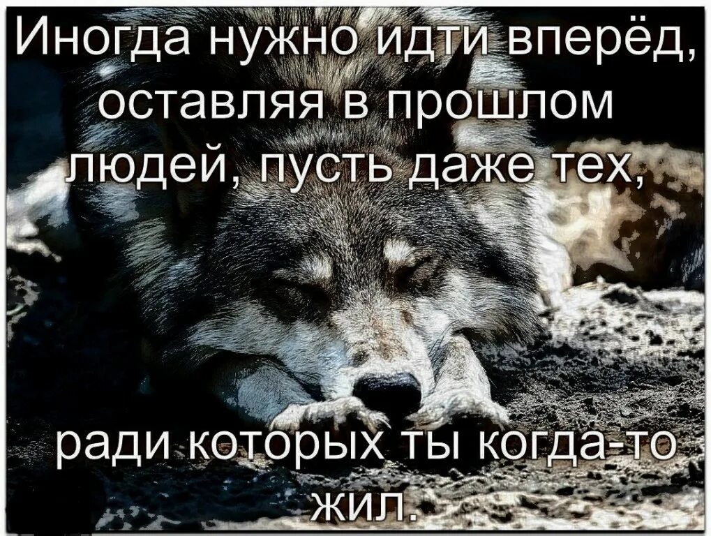 Буду идти вперед. Оставляйте прошлое в прошлом. прошлое останется в прошлом цитаты. идти вперед цитаты. вперед и только вперед цитаты.