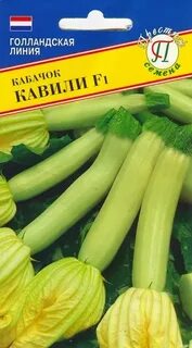 Кабачок пвз 1