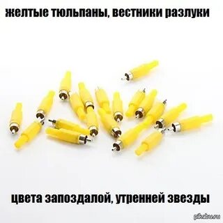 Желтые тюльпаны мы в ванной текст