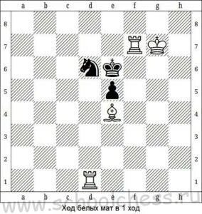 9 ходов