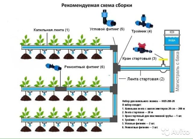 Сколько воды надо для полива. Капельный полив схема разводки. Схема капельного полива в теплице. Насос для капельный полив для теплицы. Схема подключения капельной ленты.