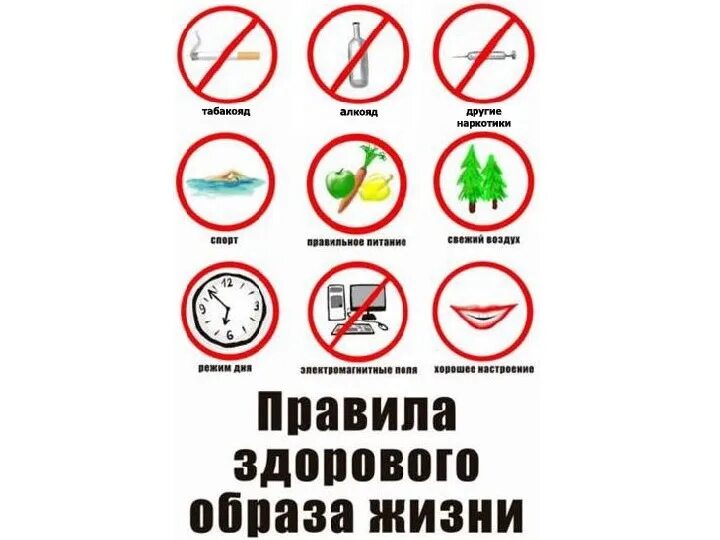 Как расшифровывается зож