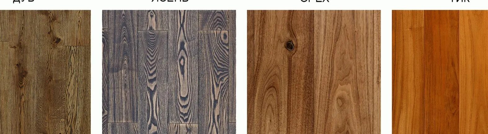 Структура дерева виды. Фактура разных пород дерева. Древесина разных пород деревьев. Образцы древесины. Таблица основных свойств древесины.