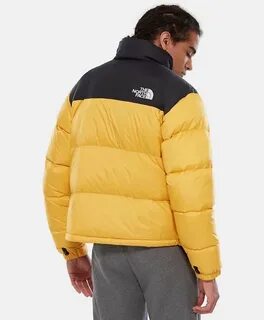 The north face 1996