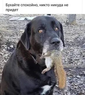 Более если она не