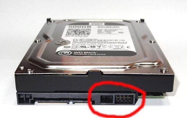 Разъем сата для жесткого диска. Разъемы HDD 3.5 SATA. Разъемы жесткого диска SATA 3.5. Разъем жесткого диска Western Digital.