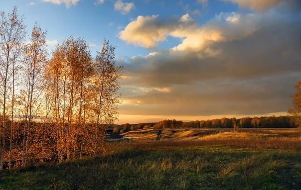 Ясный вечер. Русское поле осенью. Осеннее поле Россия. Осенний пейзаж с небом. Осеннее поле вечером.