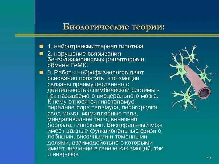 Нарушение гипотеза. Нейротрансмиттерные системы мозга. Нейротрансмиттерные нарушения это. Нейротрансмиттерная интоксикация. Нейротрансмиттерная регуляция.