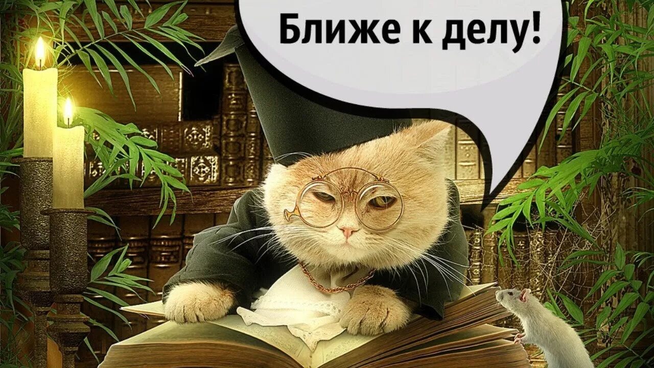 Че ближе к делу. Ближе к делу логотип. Сразу к делу. Давайте ближе к делу. Давайте ближе к делу.