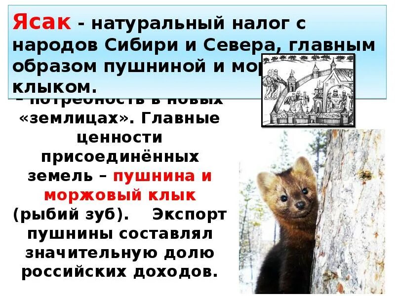 Что обозначает слово ясак. Ясак натуральный налог. Натуральный налог с народов Сибири и севера. Натуральный налог пушниной. Натуральный налог с народов Сибири и севера главным образом пушниной.