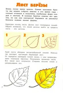 Как правильно писать листьев