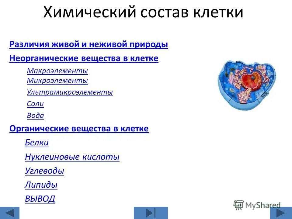 Какие 2 типа различают в живой природе