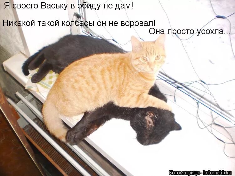 Не дали никакой информации