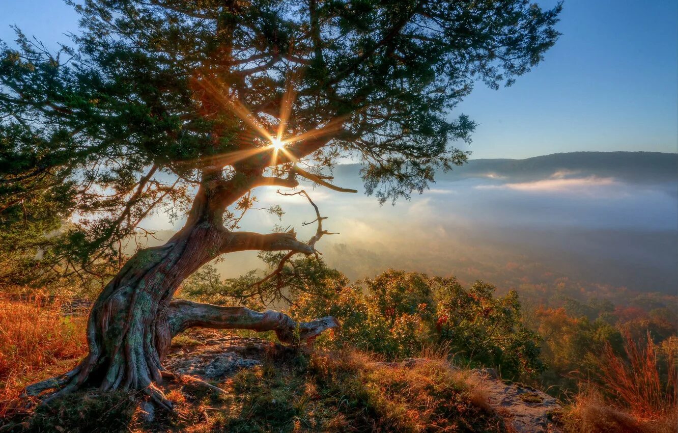 Как божественна природа и проста