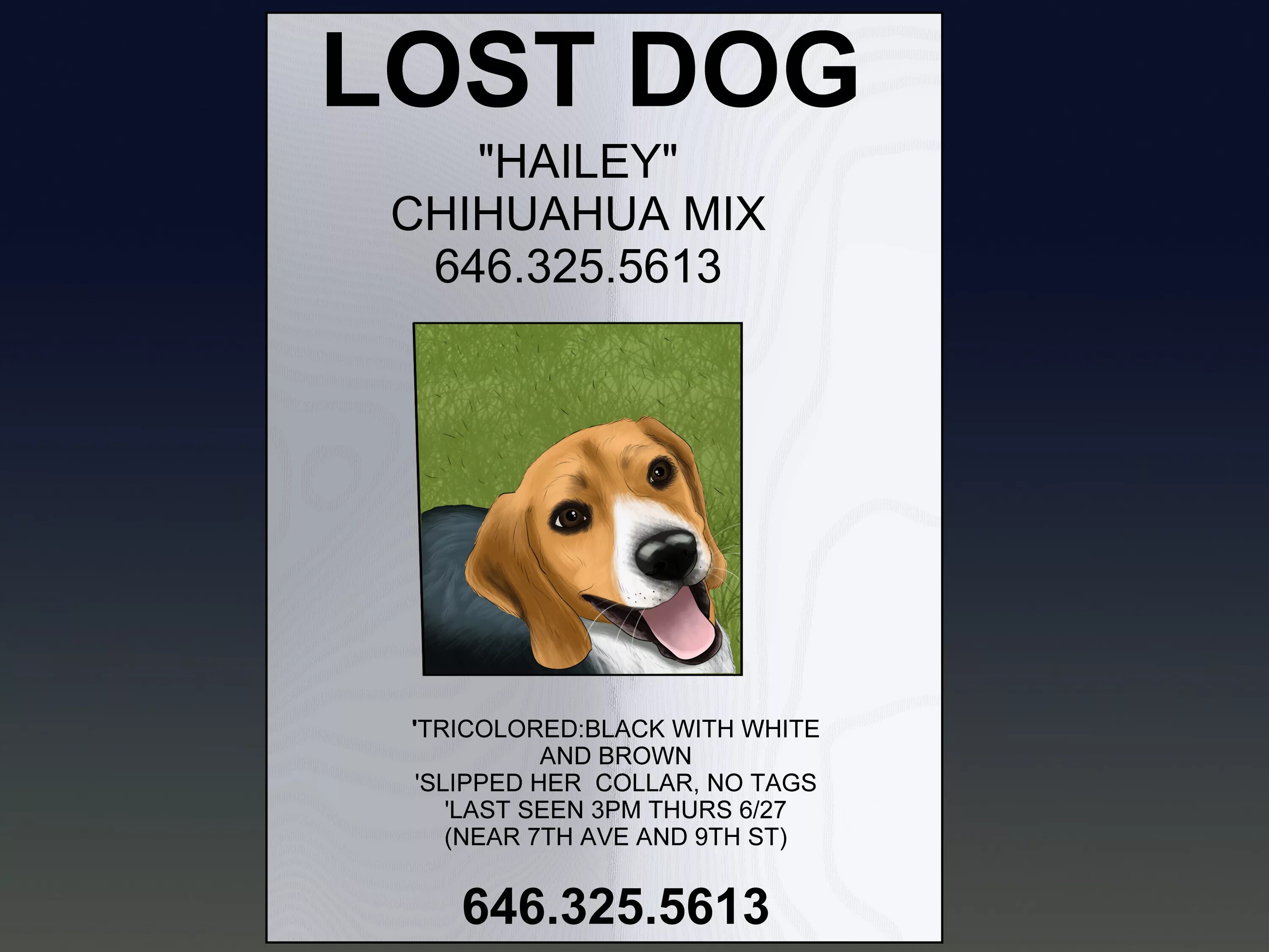 The Lost Dog. Постеры с собаками. Missing Dog. Lost Pet.