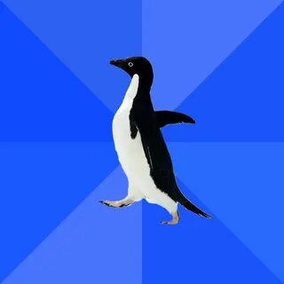 HD - Awkward Penguin Meme (As Requested) .
