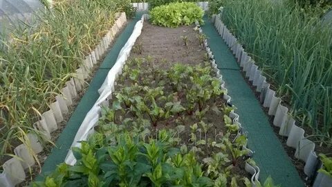 Дорожки красноярск