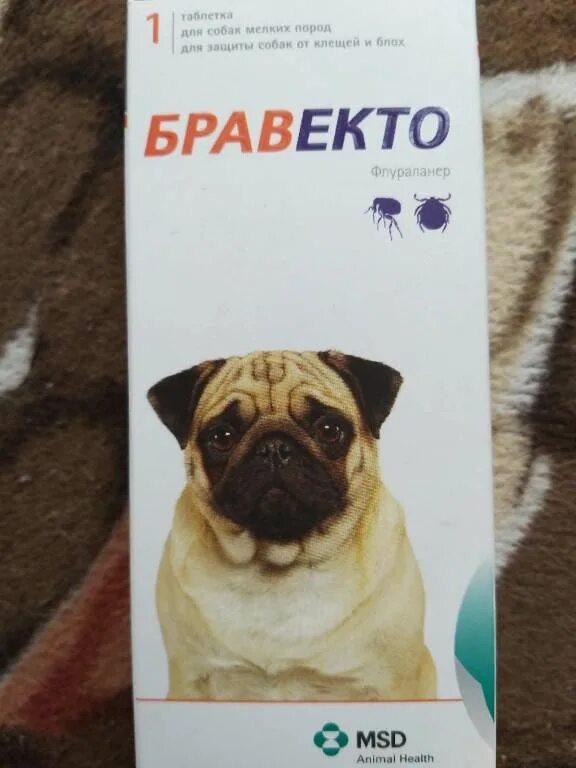 Как правильно давать бравекто собакам. Бравекто для собак. бравекто для собак таблетки. бравекто для собак дозировка. бравекто дозировка для собак по весу.
