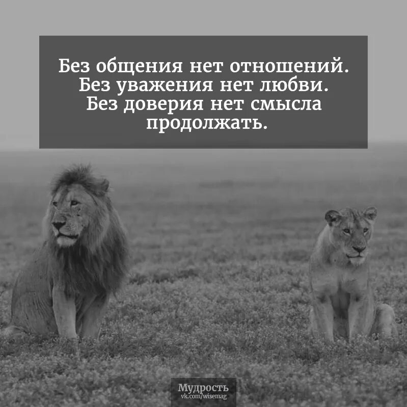 В смысле где живут. Без общения нет отношений цитаты. Если нет уважения в отношениях. Нет любви без доверия и уважения. Без общения нет любви без отношений уважения.