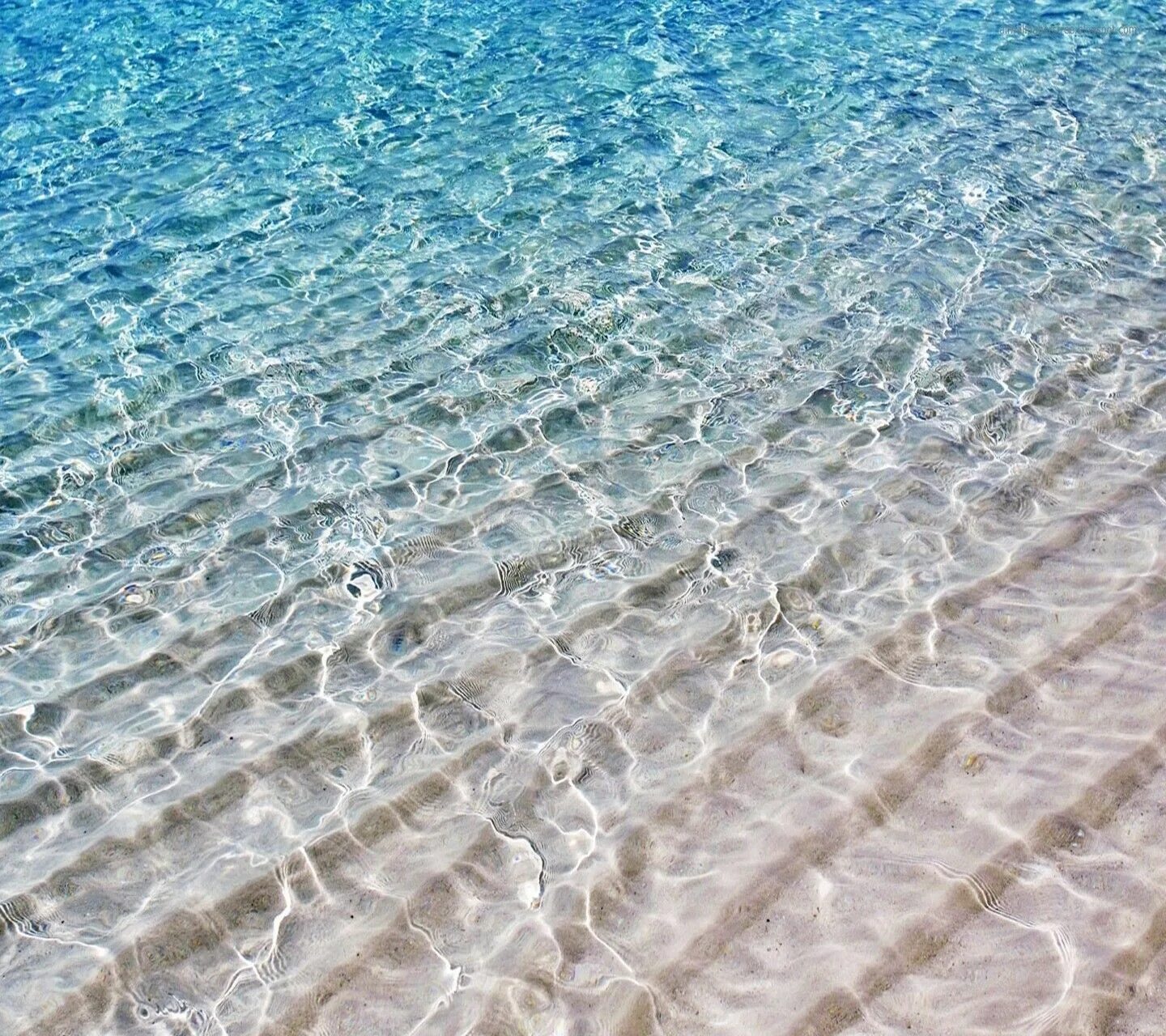 Почему вода прозрачная а море синее. Прозрачное море. прозрачная морская вода. прозрачная вода море. прозрачное море фото.