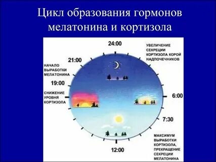 Какое время работы относится к ночному