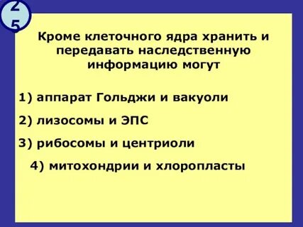Ядро хранит передает наследственную информацию