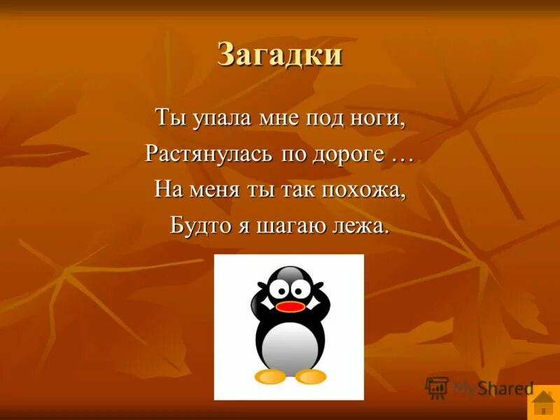 Загадки на я. Ты упала мне под ноги растянулась на дороге. Загадка ты упала мне под ноги растянулась на дороге на меня. Загадки с местом для текста.