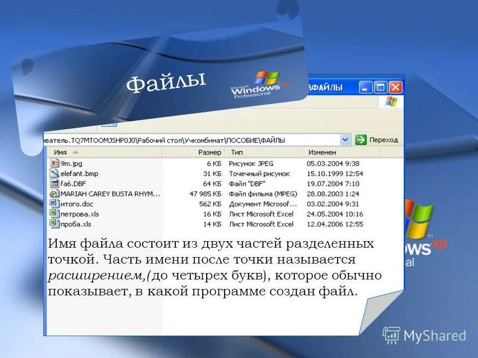 Программный уровень. Схема программного обеспечение сети. Программное обеспечение. Функции программного обеспечения компьютера. Стандартное программное обеспечение.
