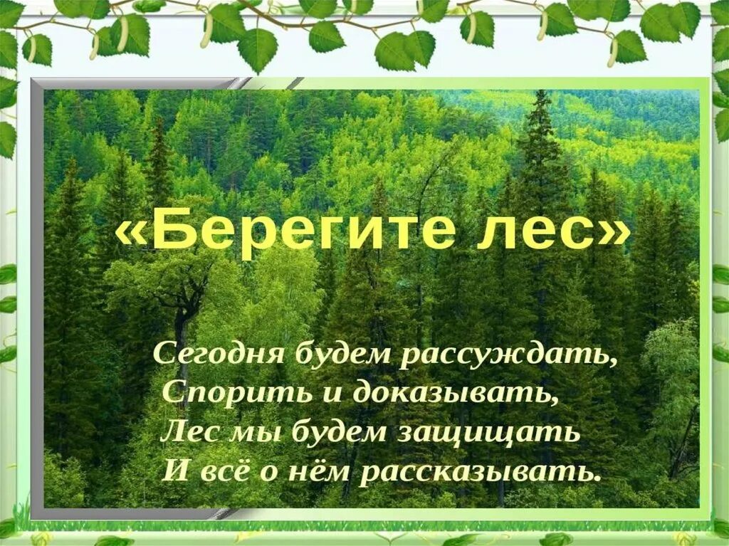 Берегите лес. Берегите лес презентация. Презентация на тему береги лес. Слова берегите лес