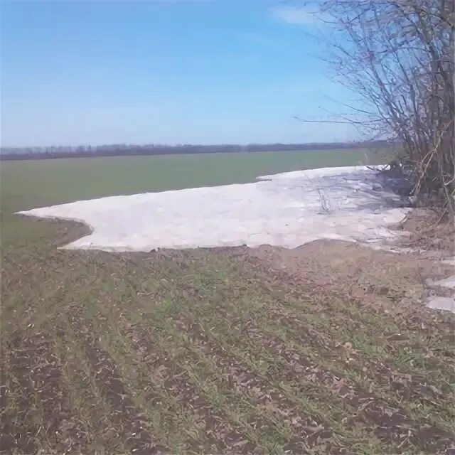Вода гулькевичи. Вода гулькевичи
