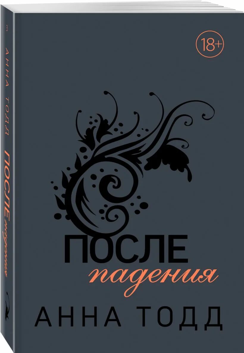 Читать книгу после 4