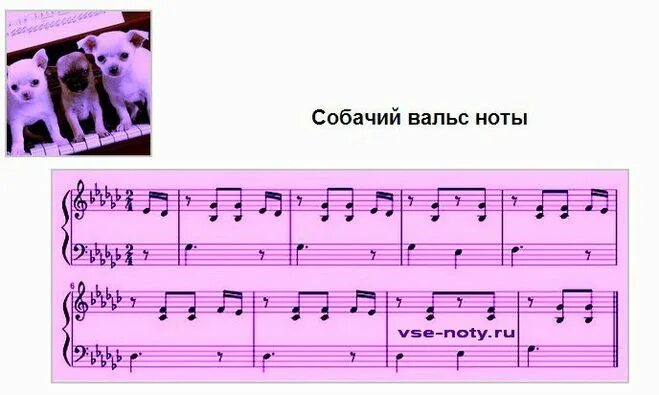 собачий вальс на пианино по нотам. собачий вальс партитура. собачья нота. собачий вальс ноты для фортепиано. собачий вальс ноты для фортепиано.