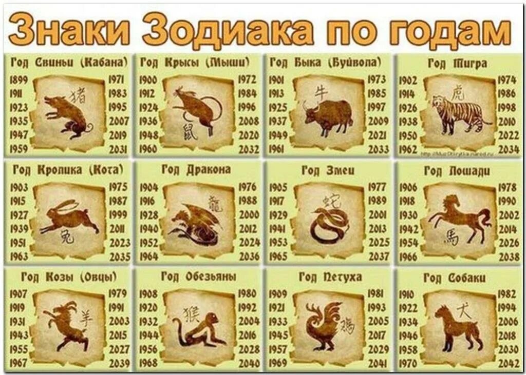 Знаки зодиака по годам. Китайский гороскоп животные. Годы животных. Животные по годам рождения.
