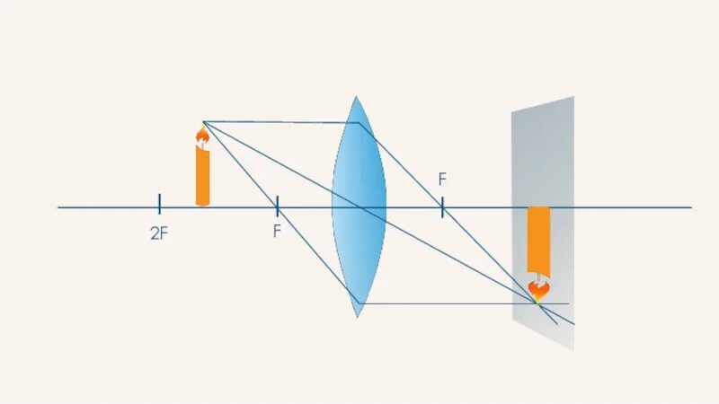 Собирающая линза в качестве лупы дает изображение
