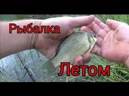 Карась ловля приманки