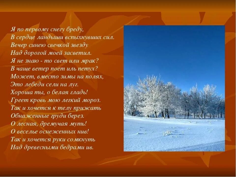 Есенин стихи я по первому снегу бреду. Стихотворение Есенина я по первому снегу бреду. Я по первому снегу бреду в сердце Ландыши вспыхнувших сил. Стихи есенина снег