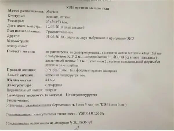 Узи после переноса эмбрионов форум