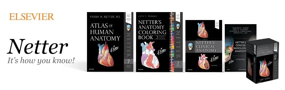 Атлас неттера 7 издание. Atlas of human anatomy netter 7th edition. netter atlas of human anatomy. фрэнк неттер атлас анатомии человека 6 издание. netter&#039;s anatomy flash cards.